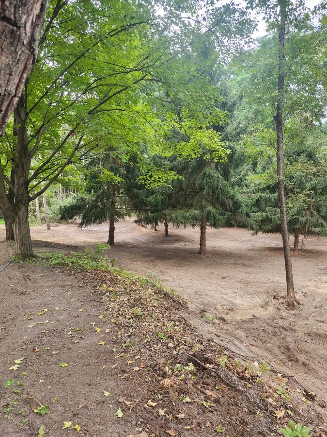 Same wooded lot after clearing — open, graded ground with mature trees left standing, Holmen, Wisconsin